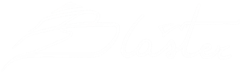 Blaster Charter