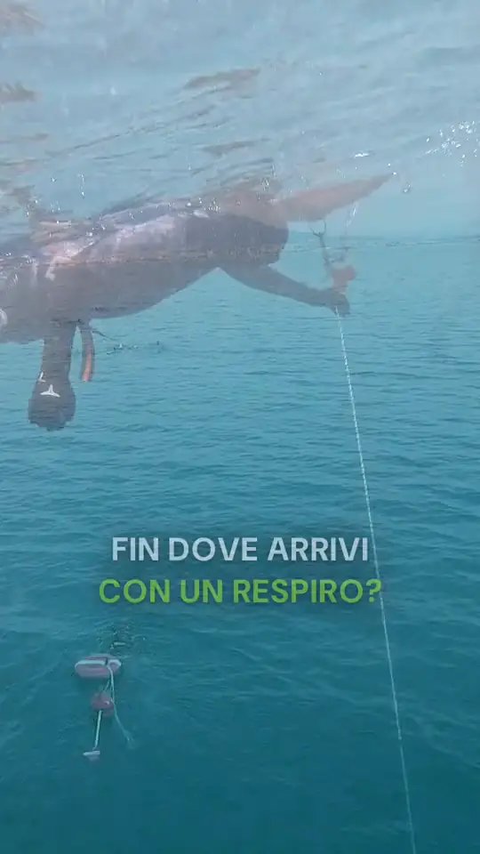 Apneisti che scendono lungo il cavo durante un corso
